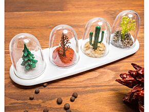 Komplet 4 pojemników na przyprawy Komplet 4 pojemników na przyprawy